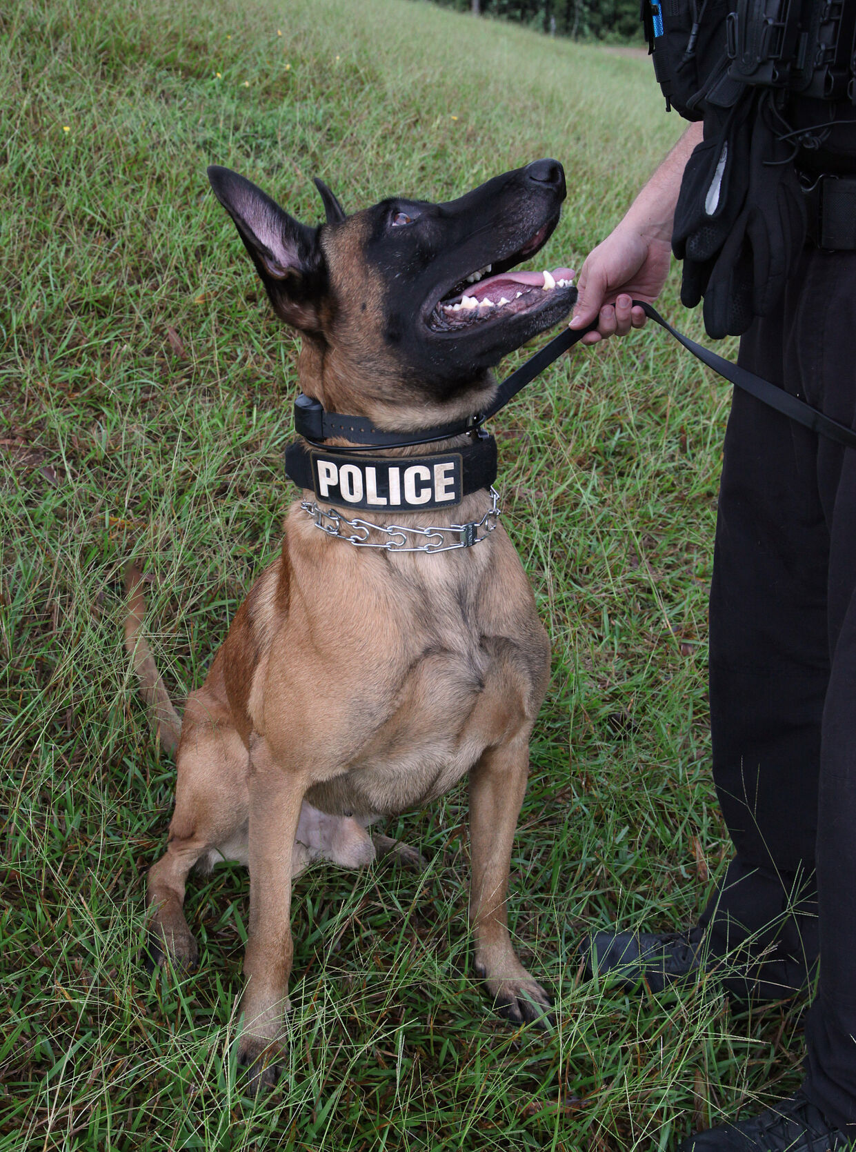 K9Blessing_0555.JPG